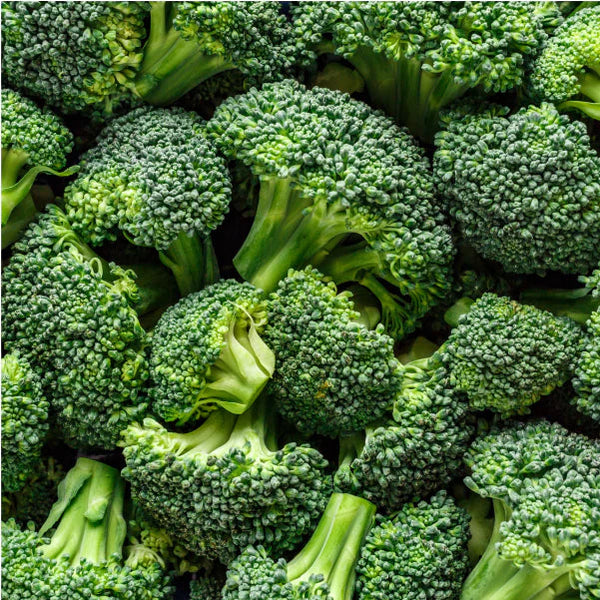 Uridine: The Elixir of Cognitive Enhancement