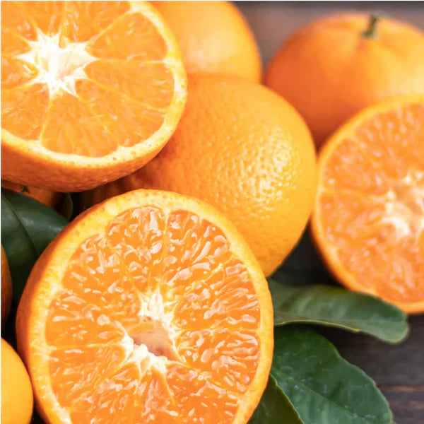 Vitamin C: Nourish Your Brain and Enhance Your Immunity
